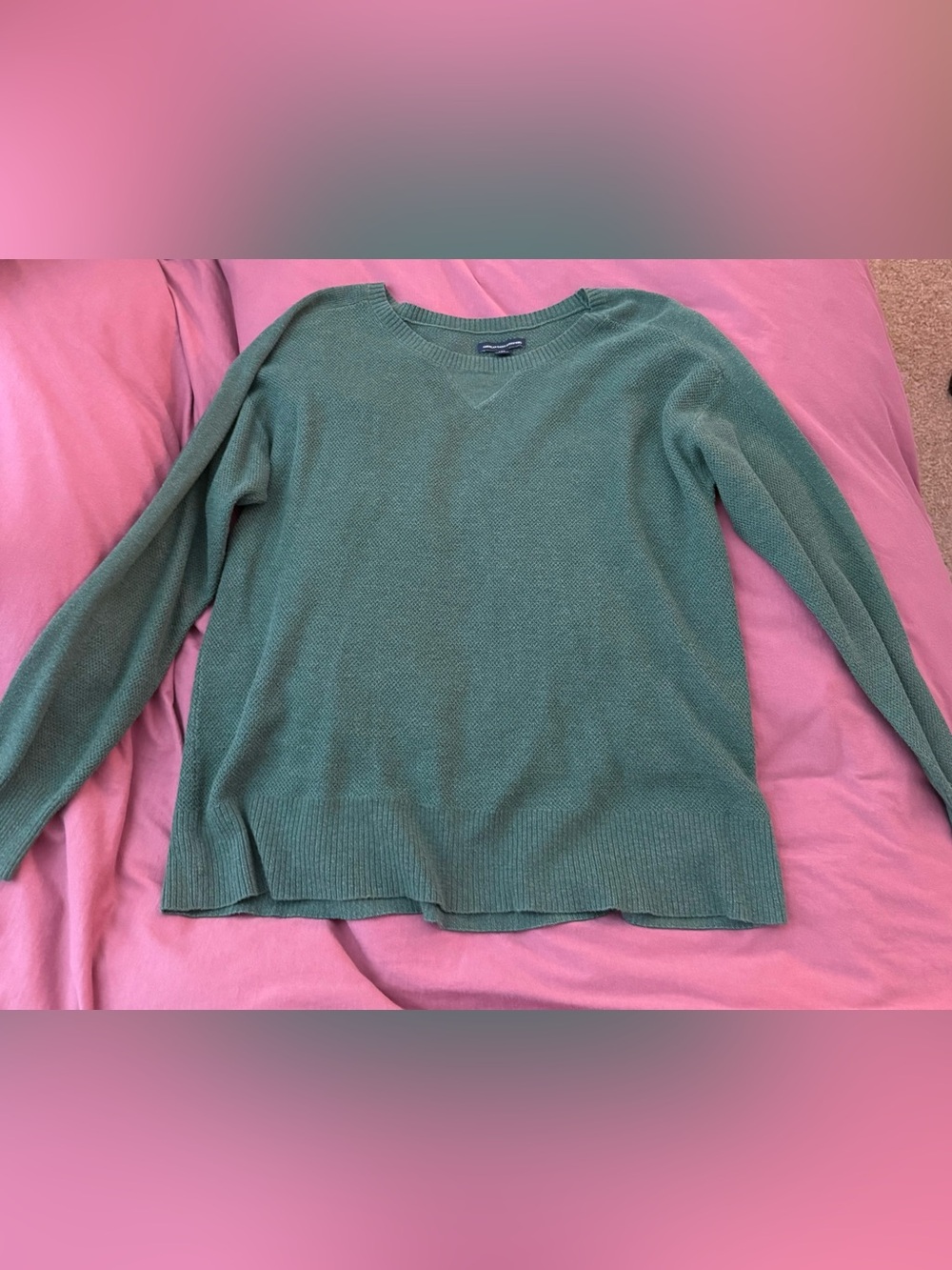 American Eagle Outfitters Sage Green Crewneck Sweater